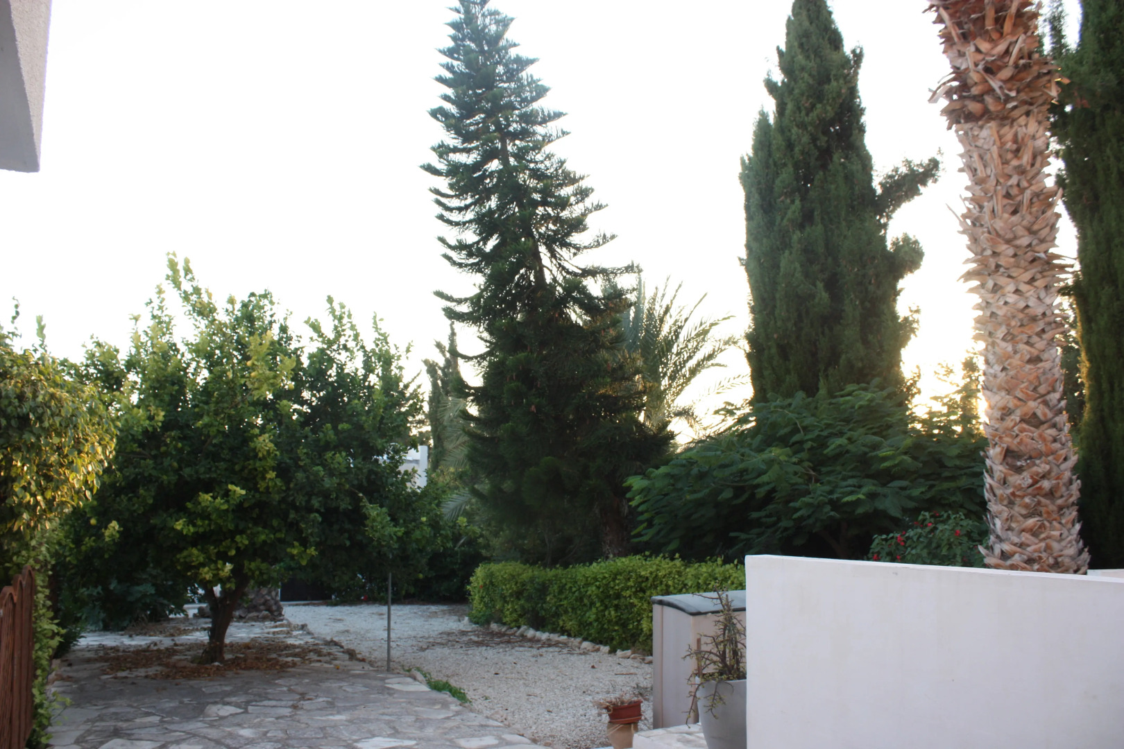 Апартаменты Green Oasis Beach