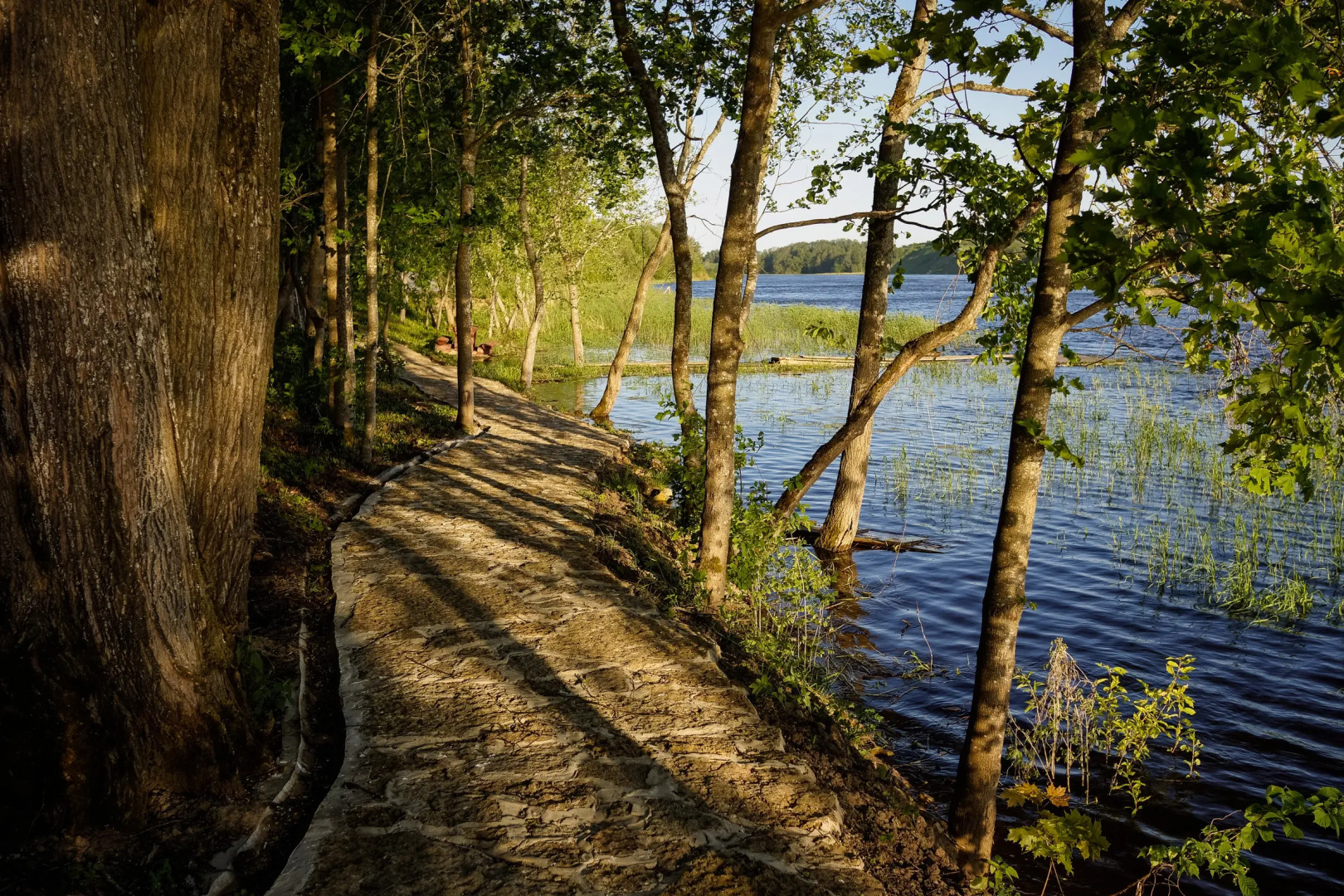 База Отдыха Староладожская Дача