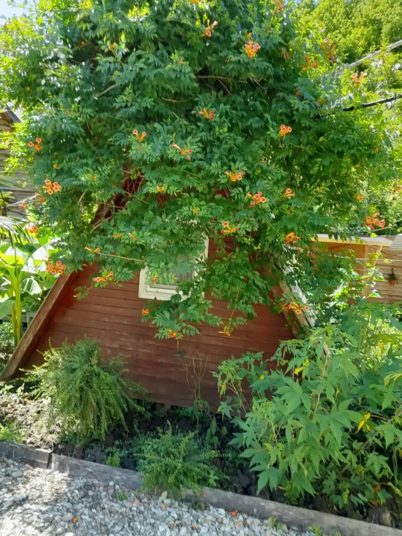 Гостевой дом Фазенда