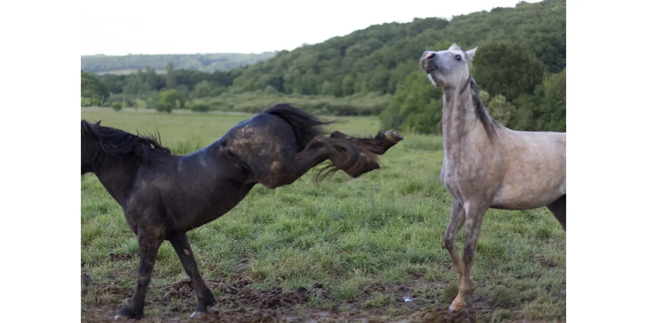 Замок Chateau Marteret
