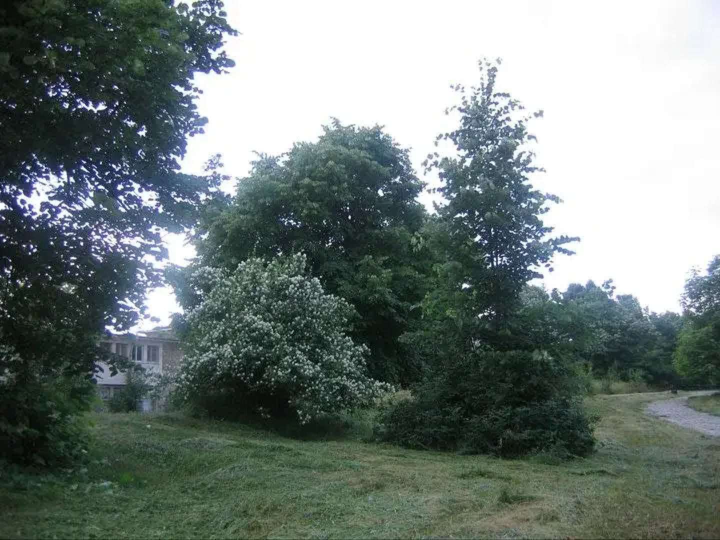 Отель Чинар