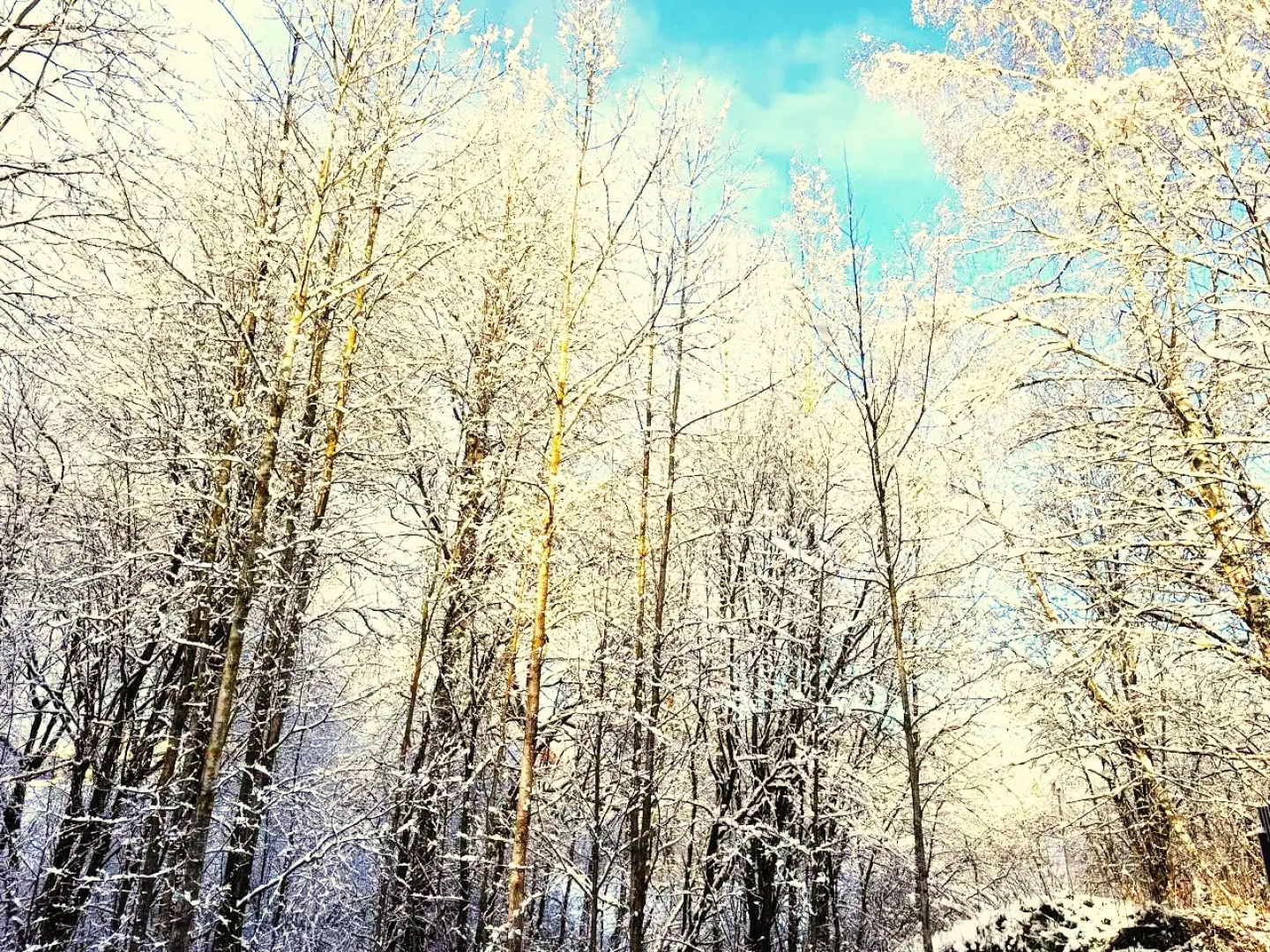 Частный дом с камином