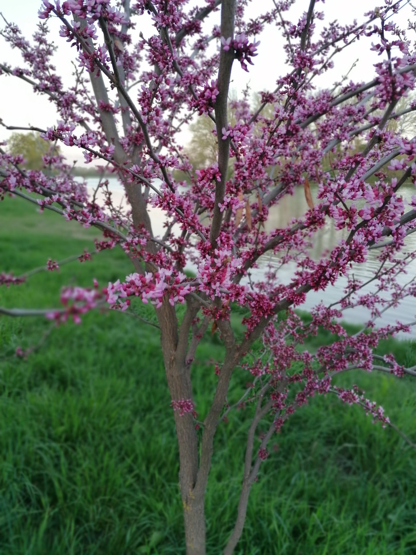 Гостевой дом У Юли