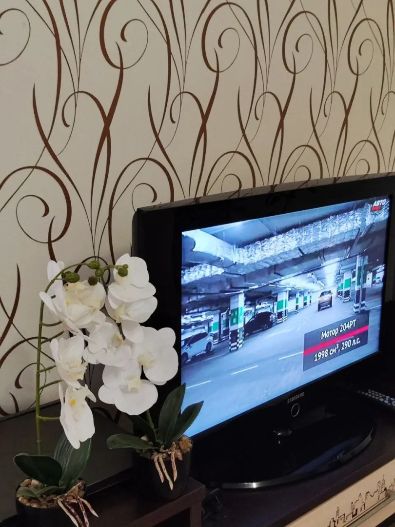 Апартаменты 1-комнатные в Центре Города на Ленина