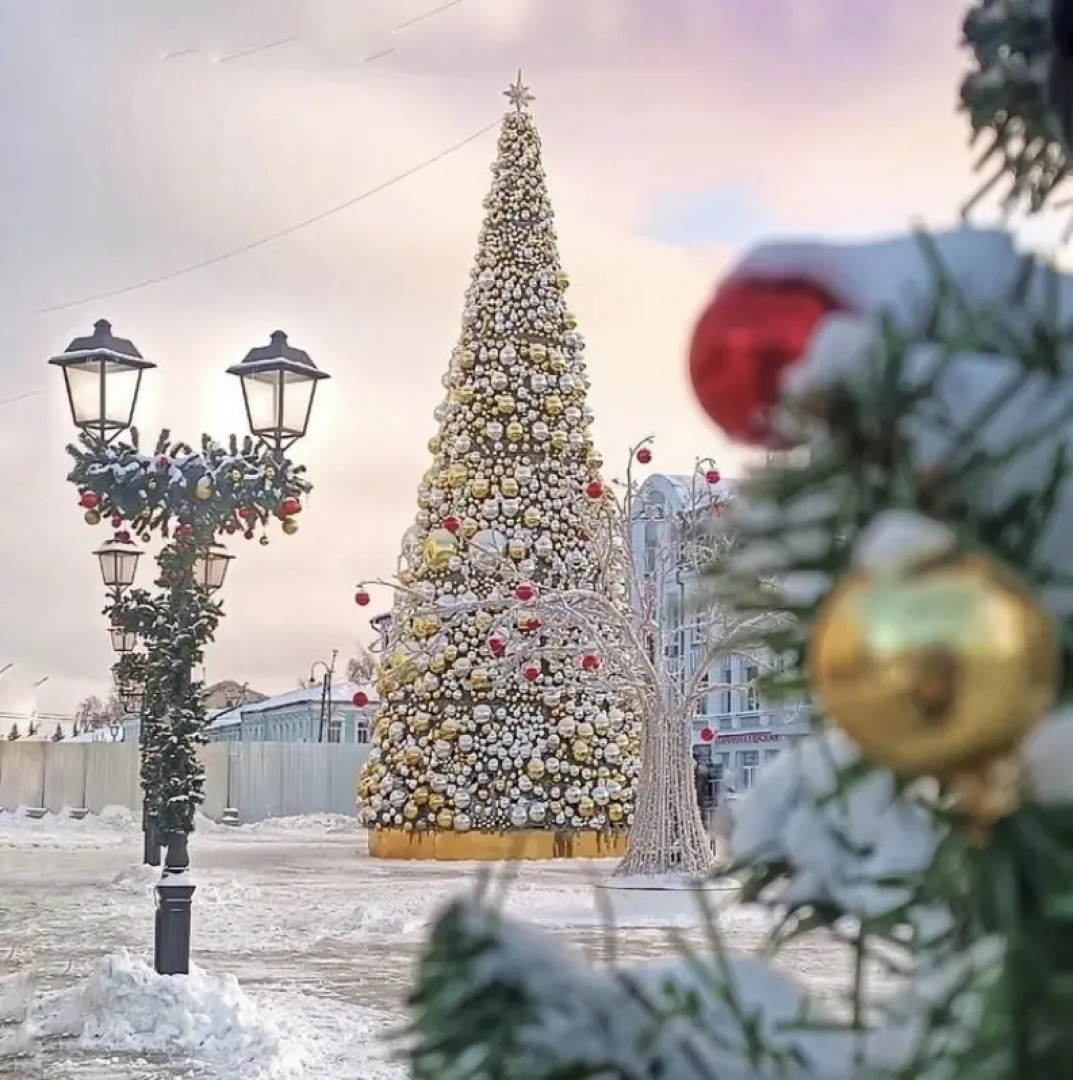 Частный дом В гостях у Алешина А.А.