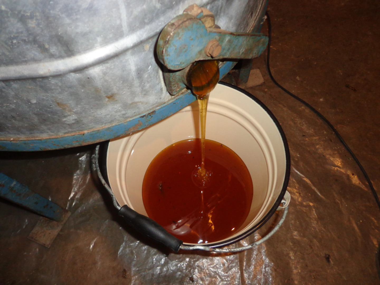 Гостевой Дом Anush`s B&B