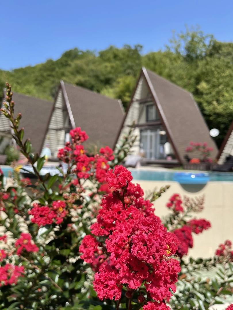 Гостевой дом Bungalow