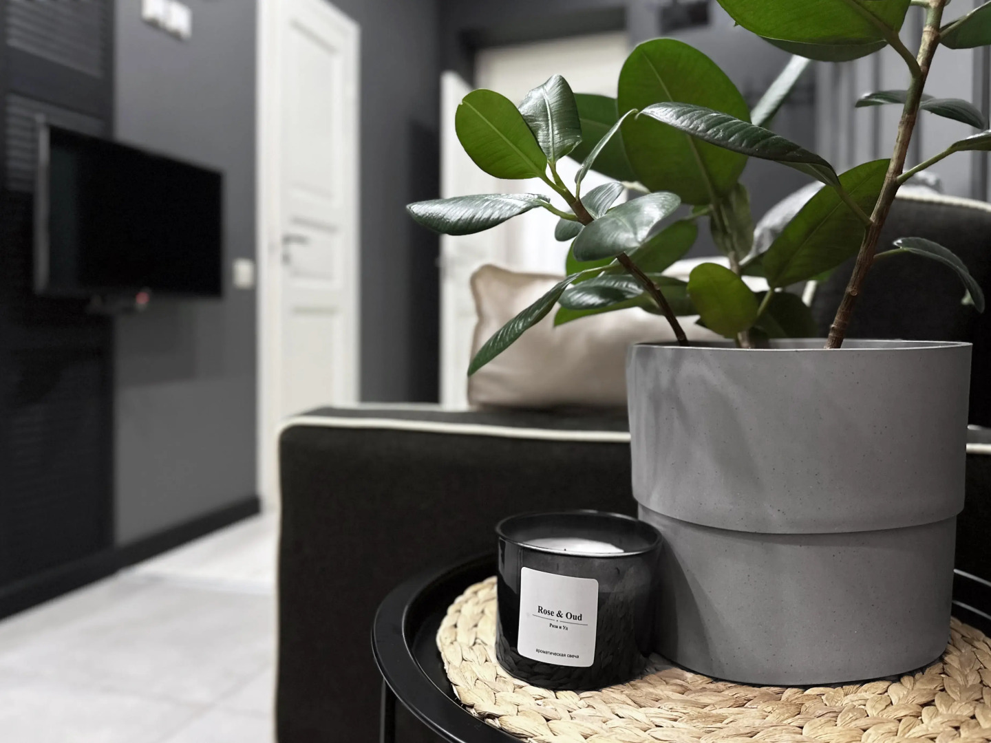 Квартира в центре с проектором и видом на парк