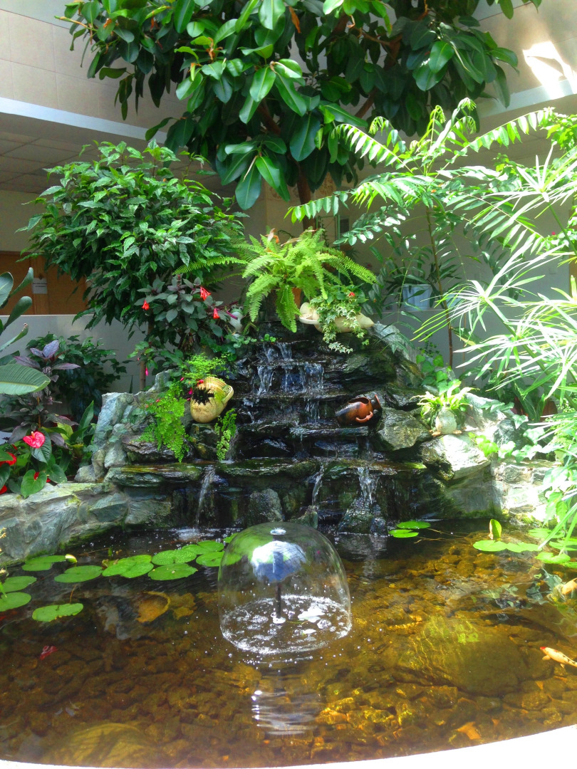 Санаторий Синегорские минеральные воды