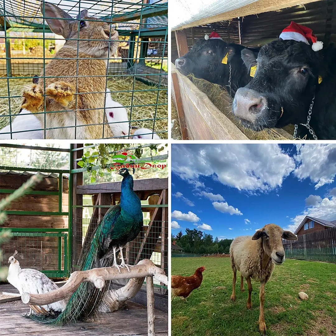 Частный дом При базе отдыха