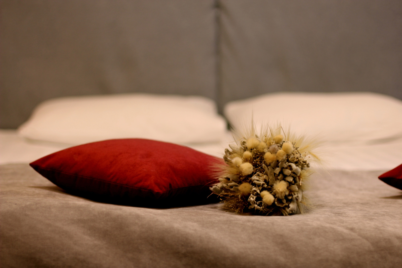 Отель Кристофф