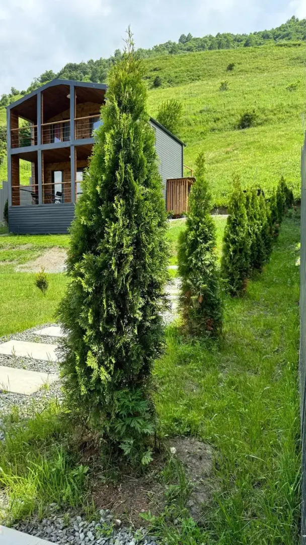 Частный дом 15.15.house_fiagdon