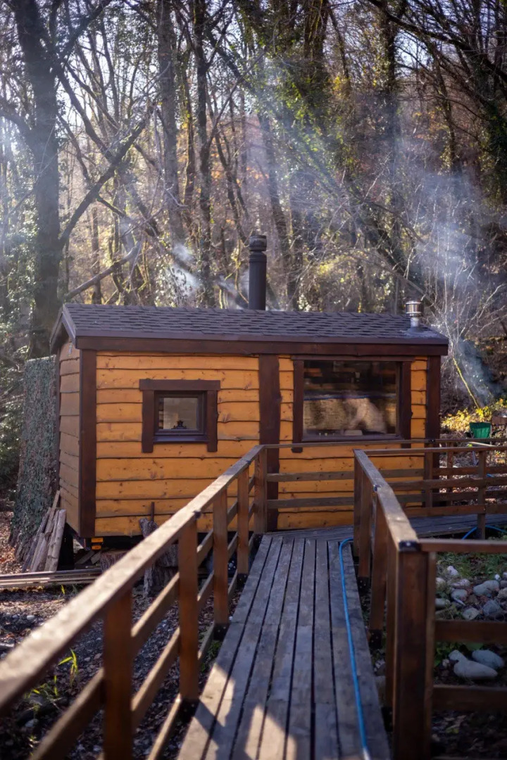 Шале A-Frame Forrest