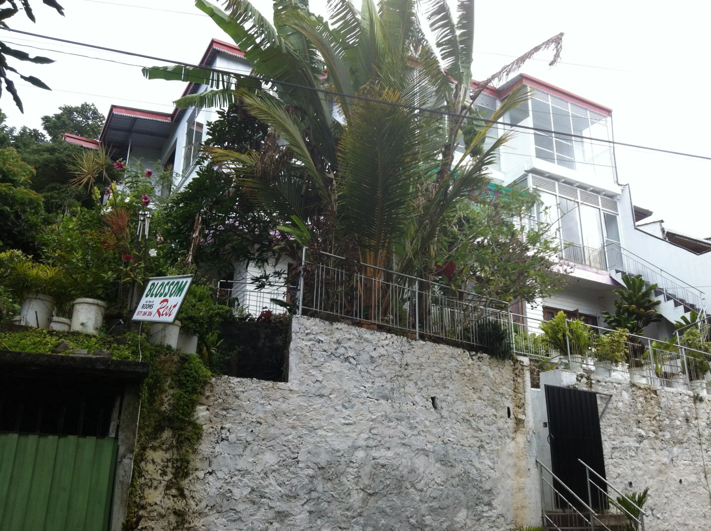 Гостевой Дом Blossom Rest