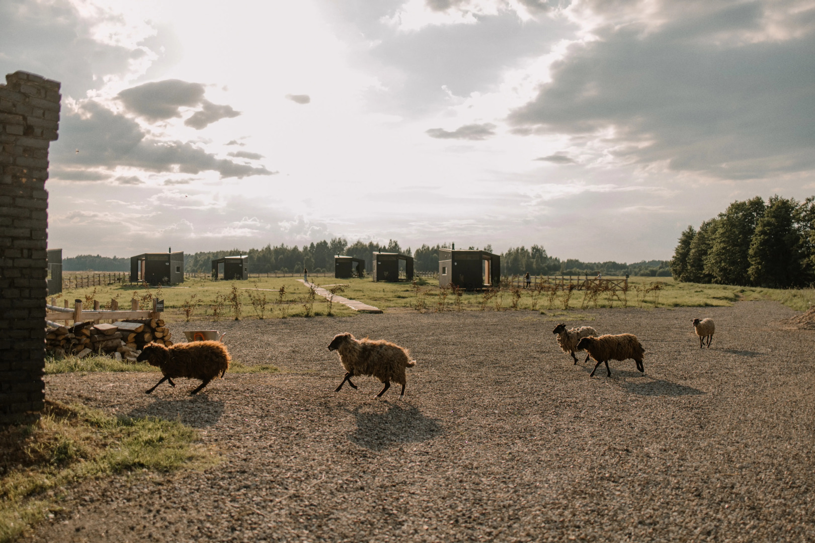 Частный дом Панорамные мини-домики на ферме Nomad Houses в Браславе