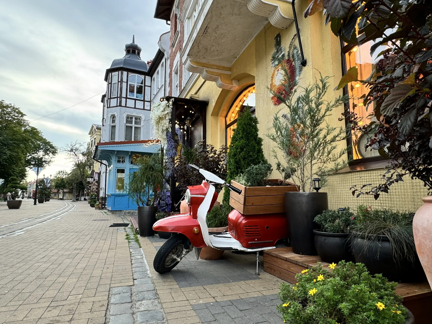 Квартира Мяу