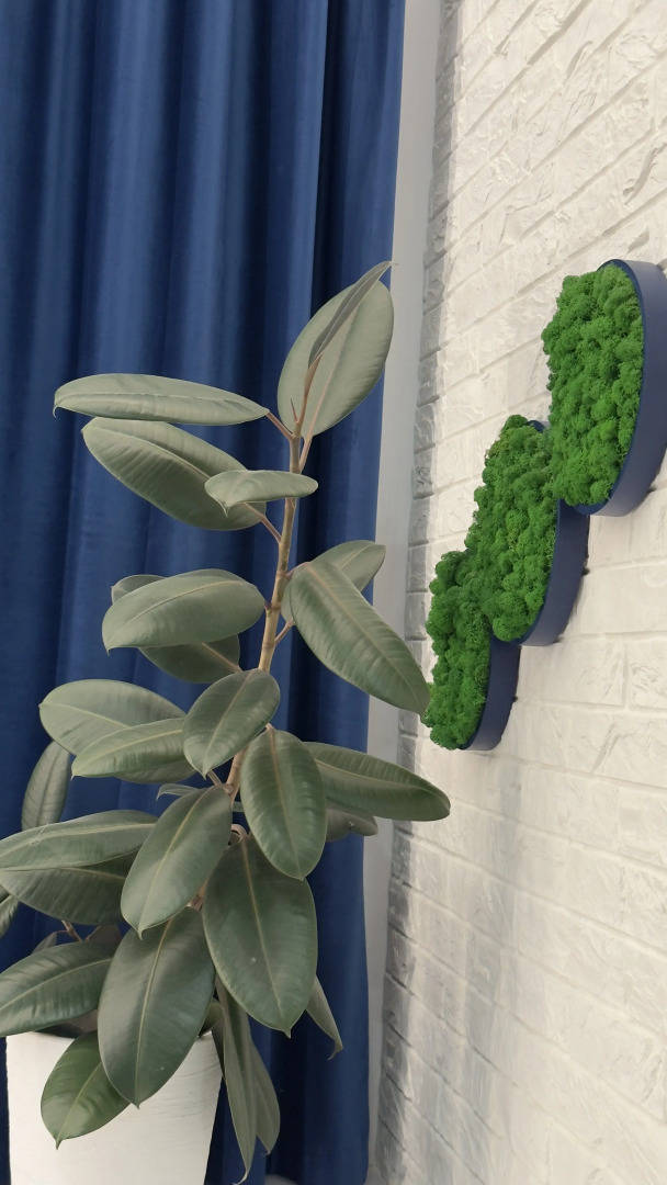 Квартира уютная ЖК Новый город