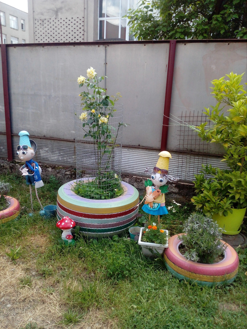 Отель Митва