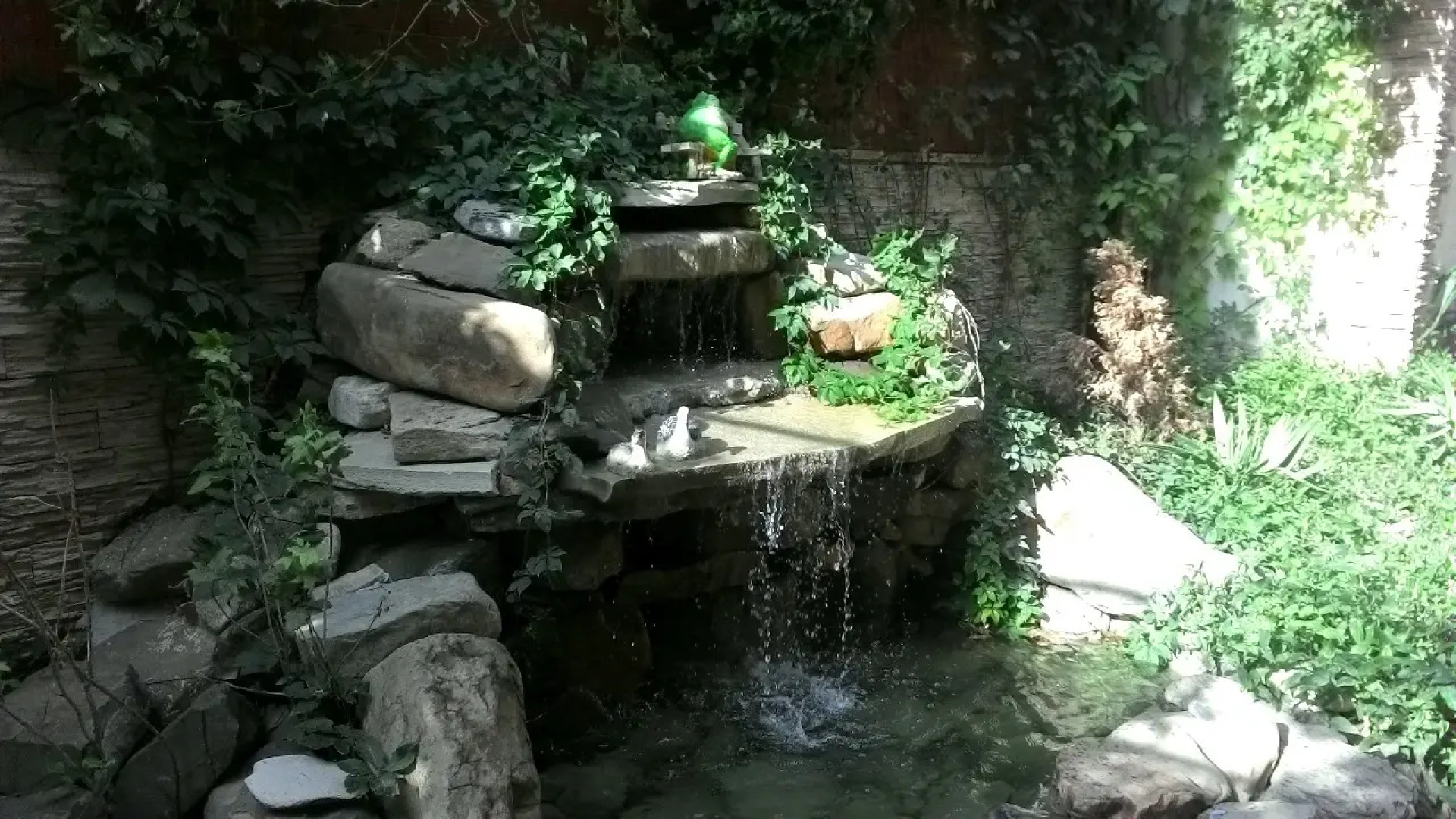 Мини-Отель Ольга