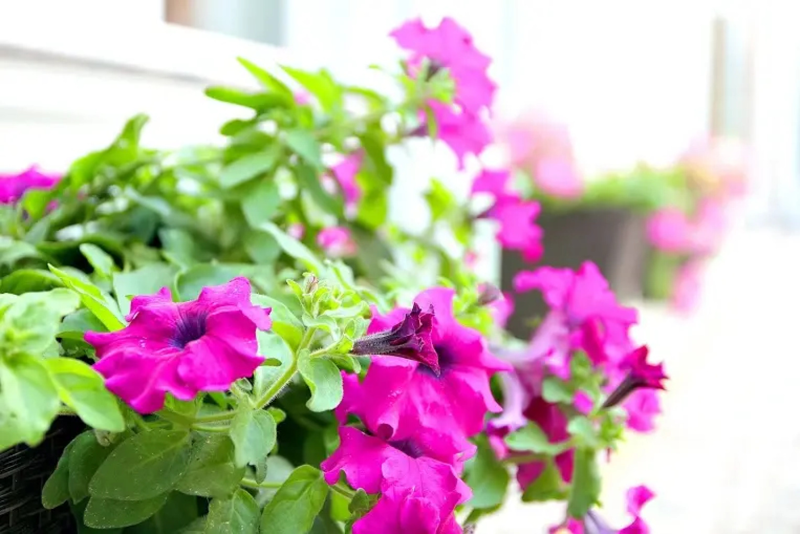 Отель Винтаж