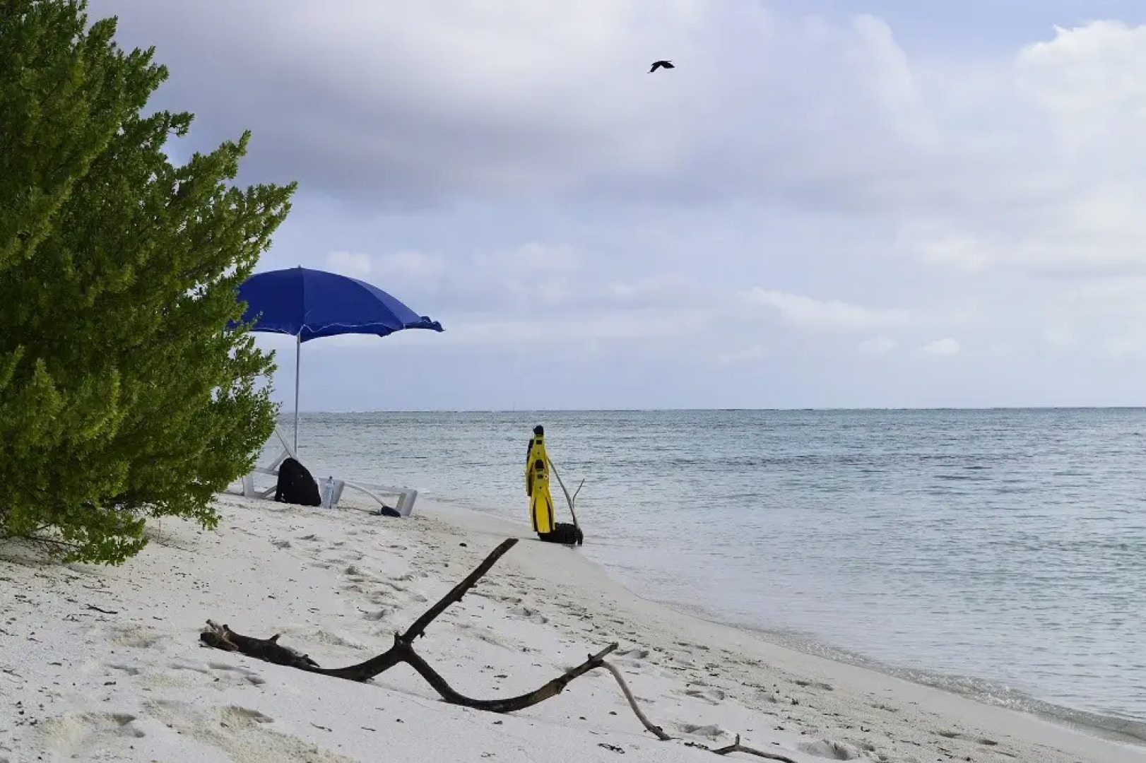 Гостевой дом Alvi Star Inn