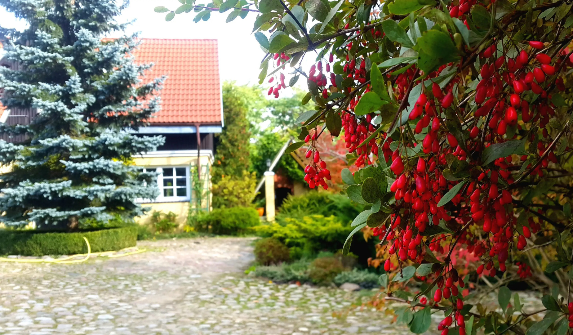 Вилла Reglówka