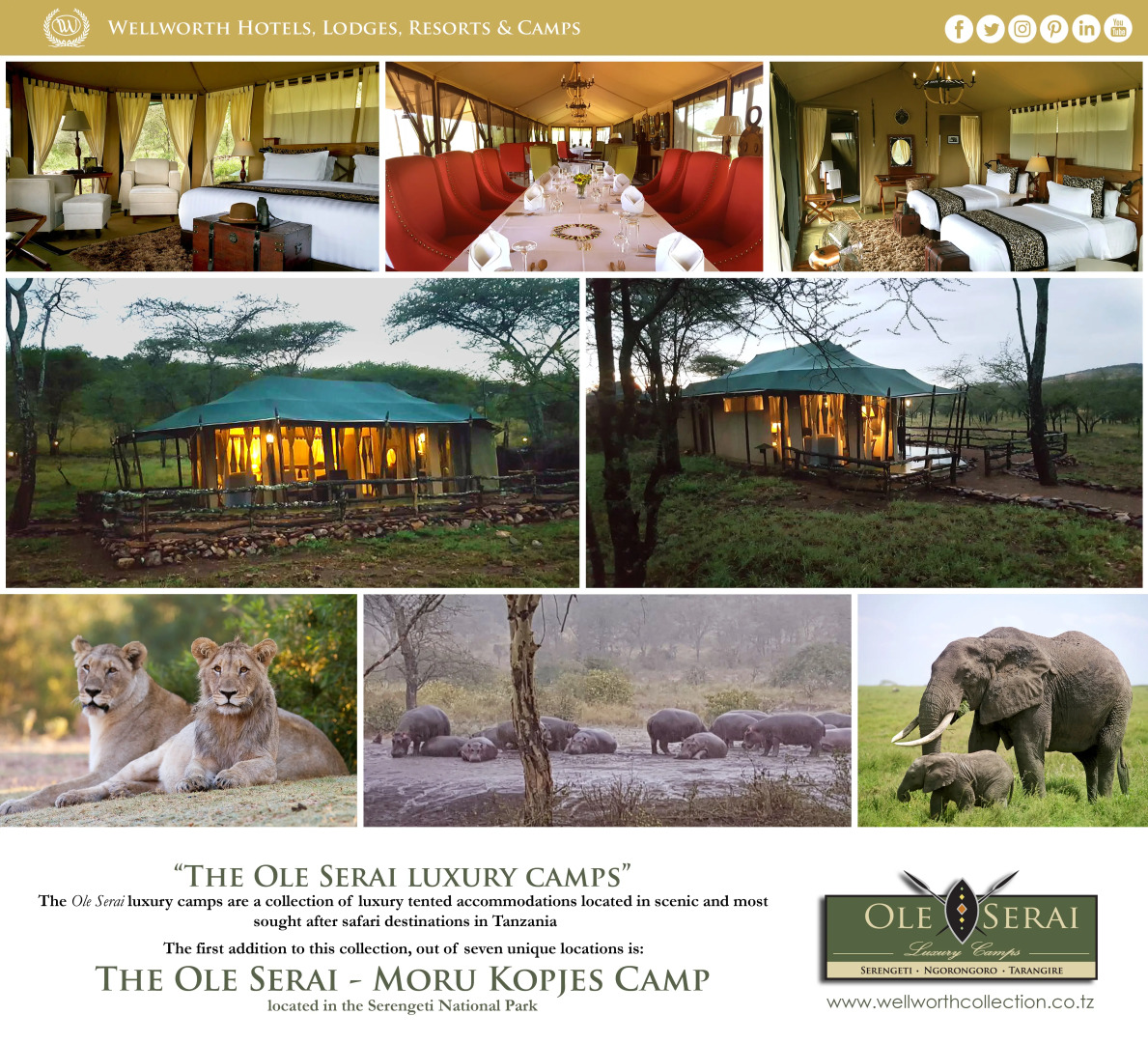 Отель Ole Serai Luxury Camp