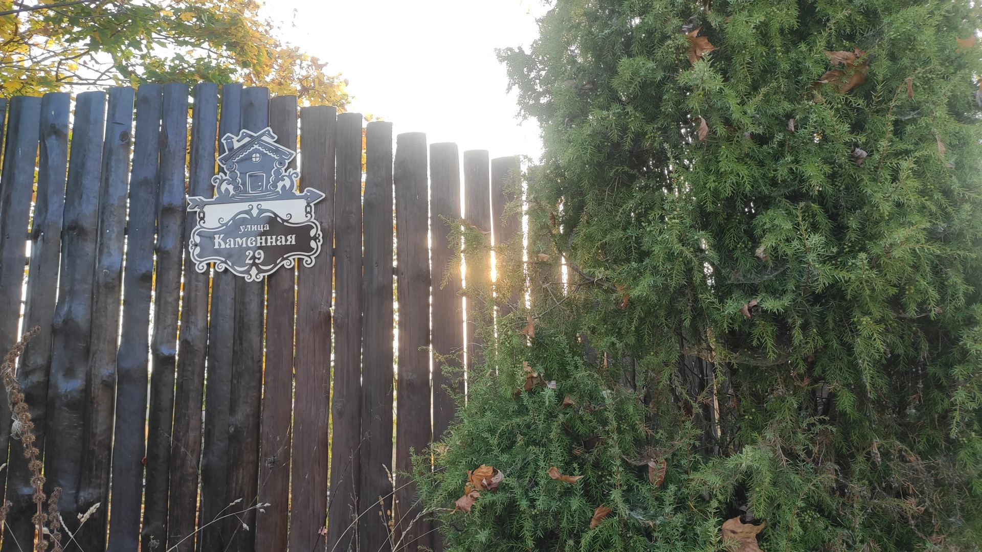 Гостевой дом С баней Панорама