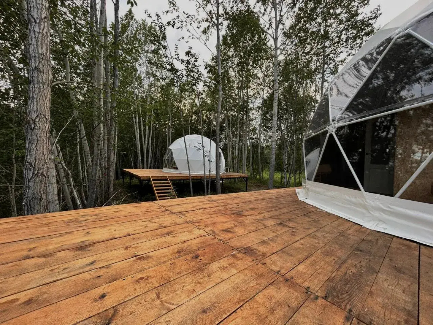 Глэмпинг Охотничий комплекс Одна Охота