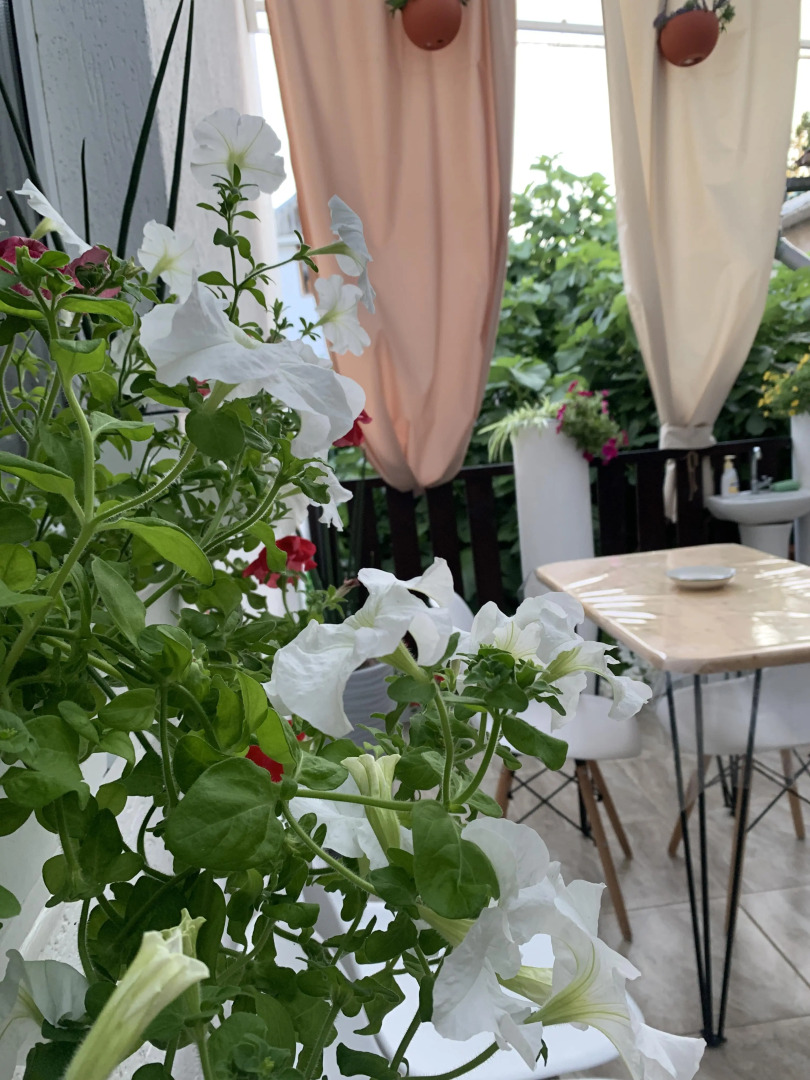 Гостевой дом Инжир