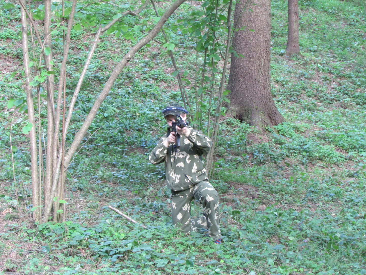 Парк-Отель Авеста