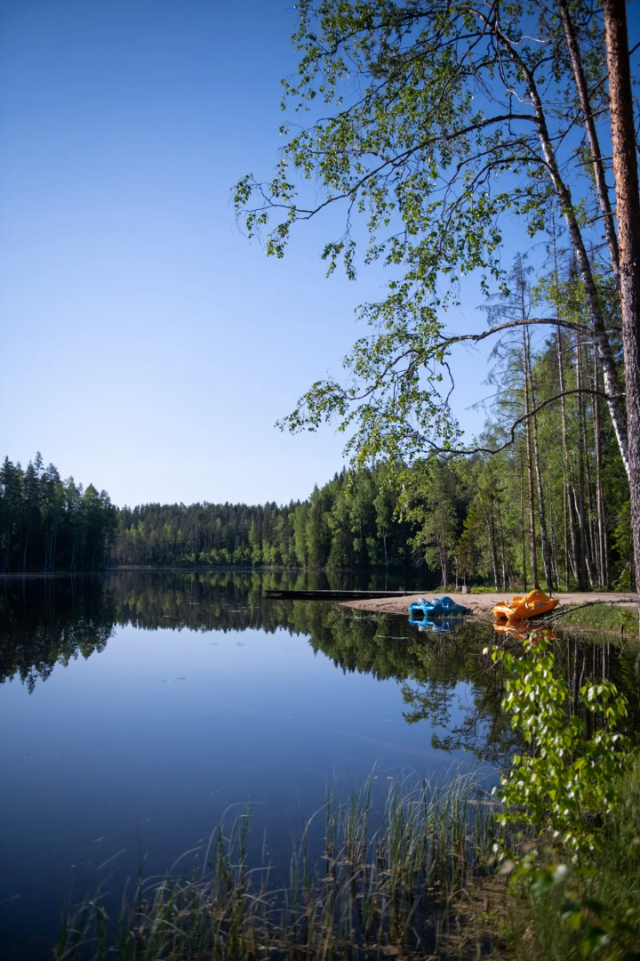 Коттедж Brusnika Village