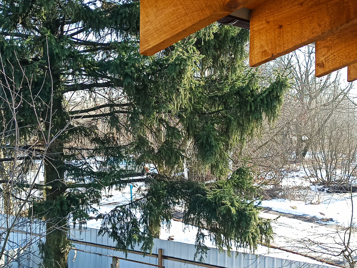 Гостевой дом Шале Тюленя