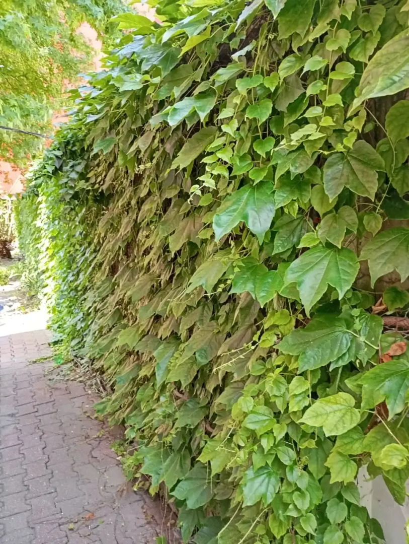 Отель Аквариум