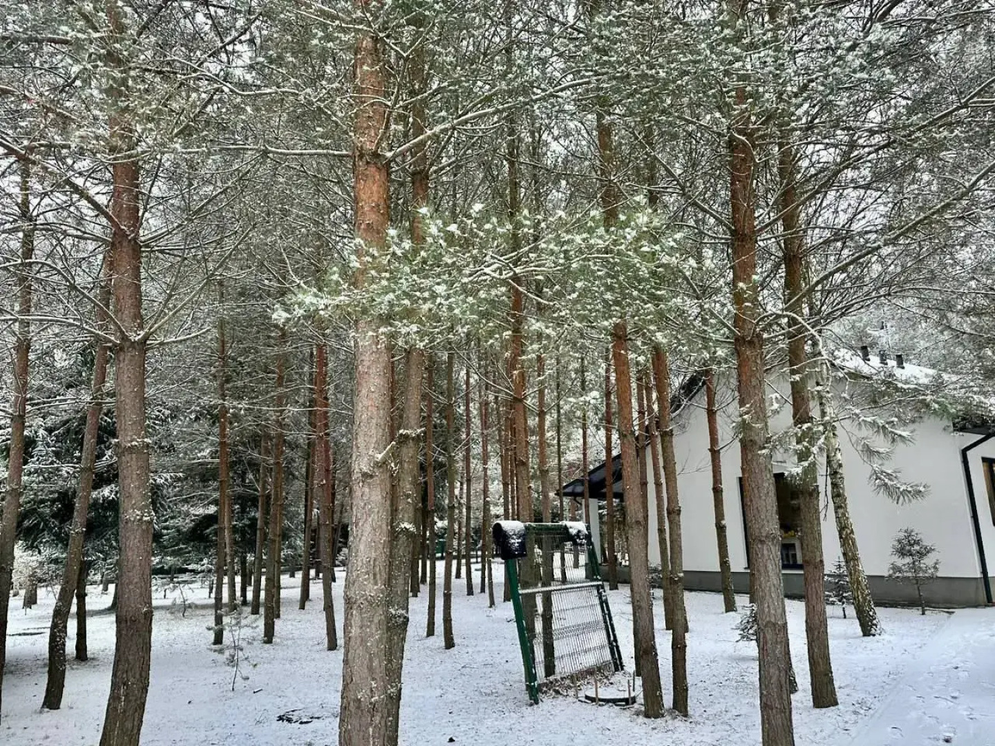 Частный дом Премиальный семейный дом в сосновом лесу