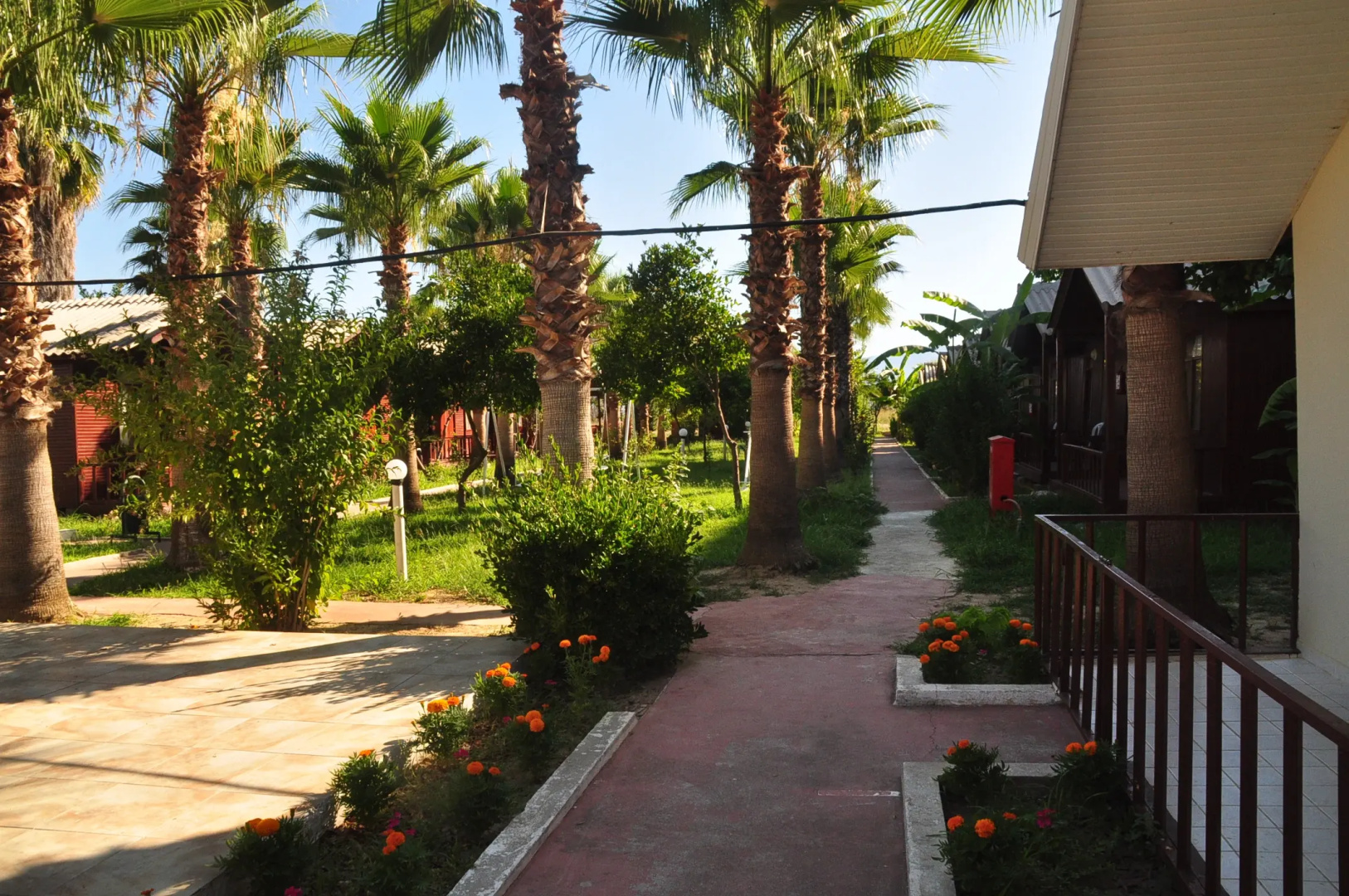 Отель Dream Park Bungalow