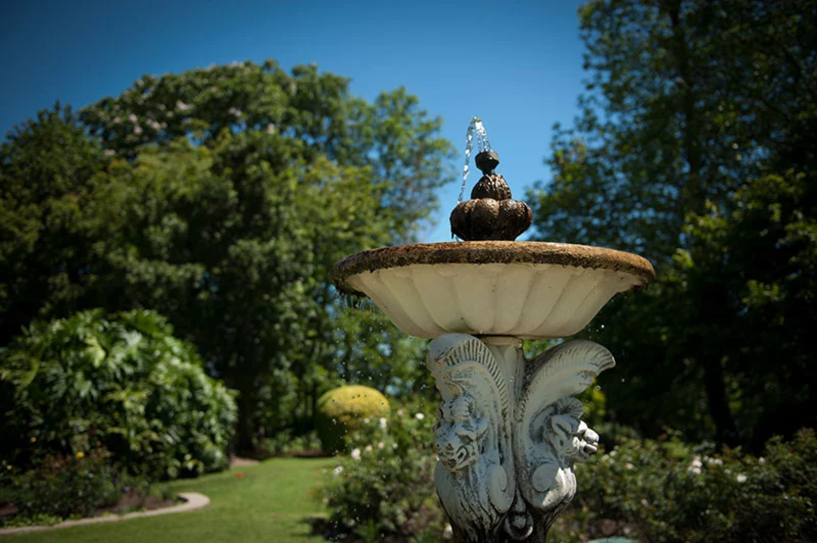 Гостевой Дом ArendsRus Counrty Lodge