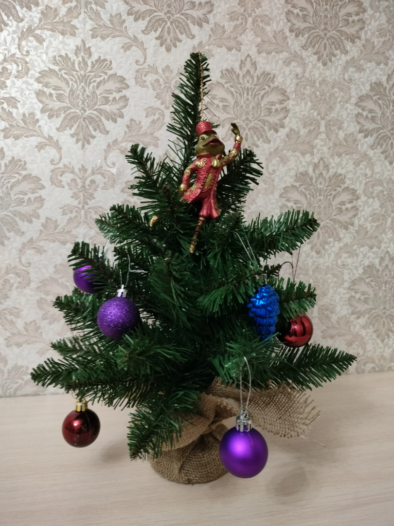 Квартира Видовая