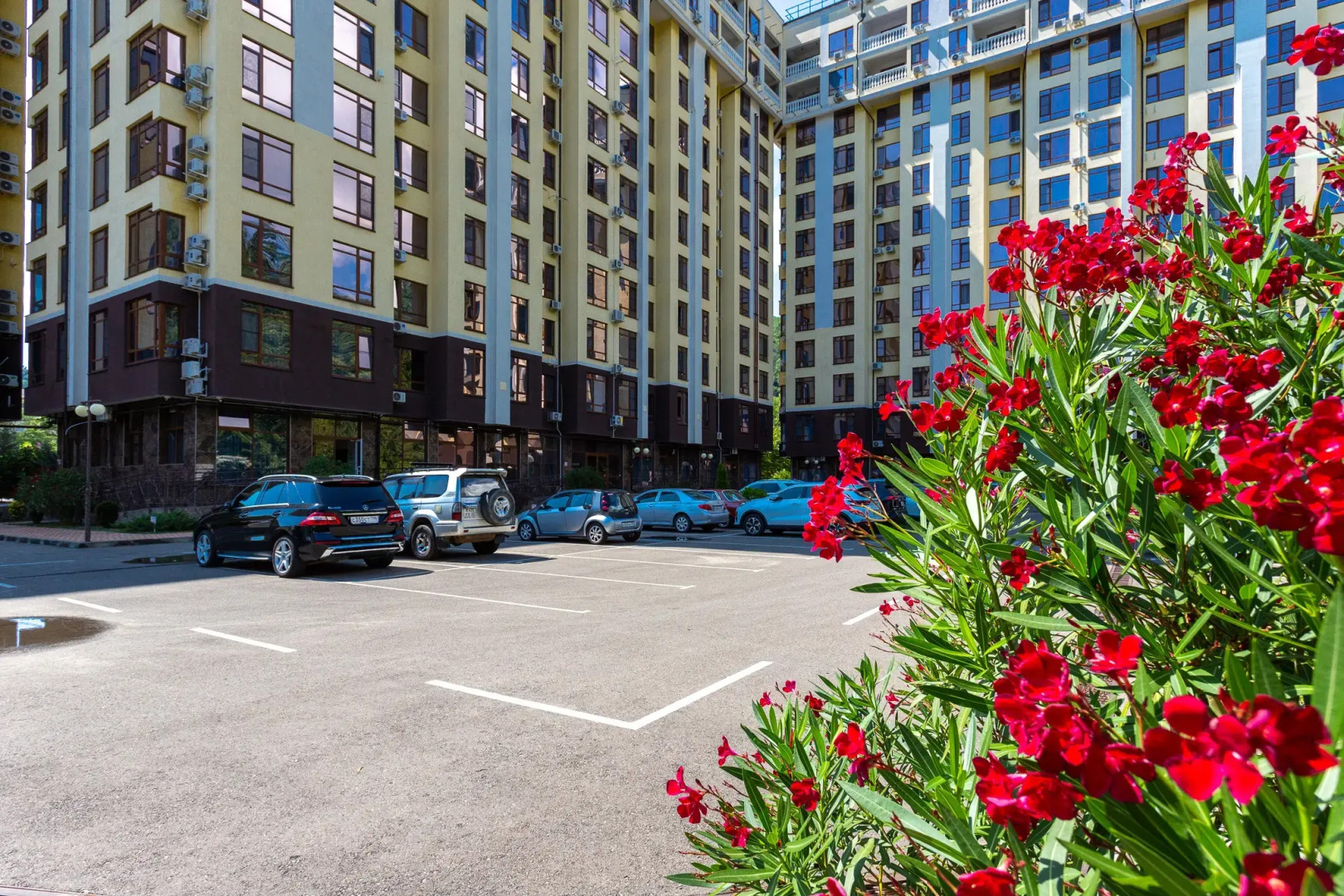 Просторная стильная квартира с видом на горы. Кватро 43