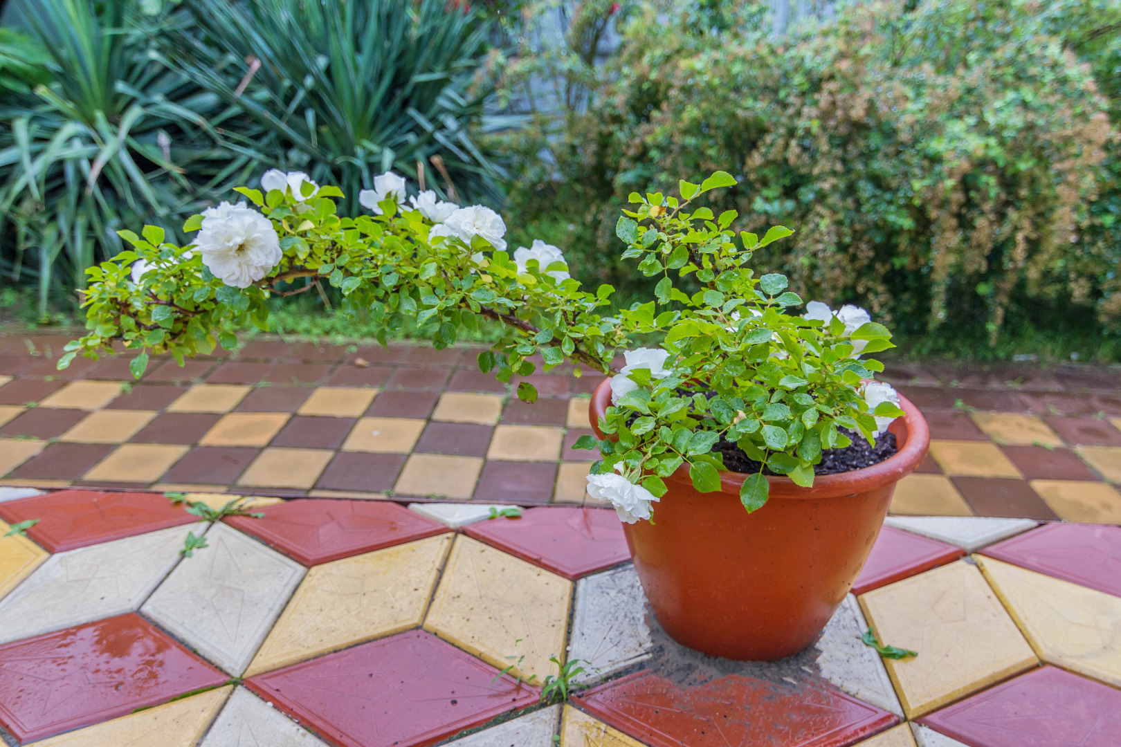 Гостевой дом Green House