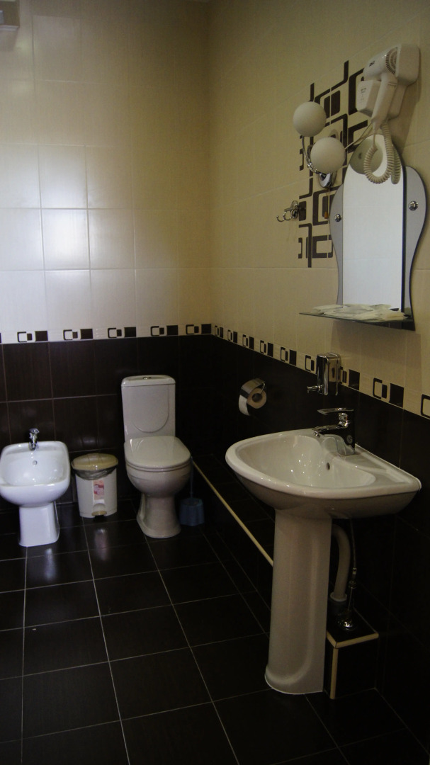 Отель Арарат