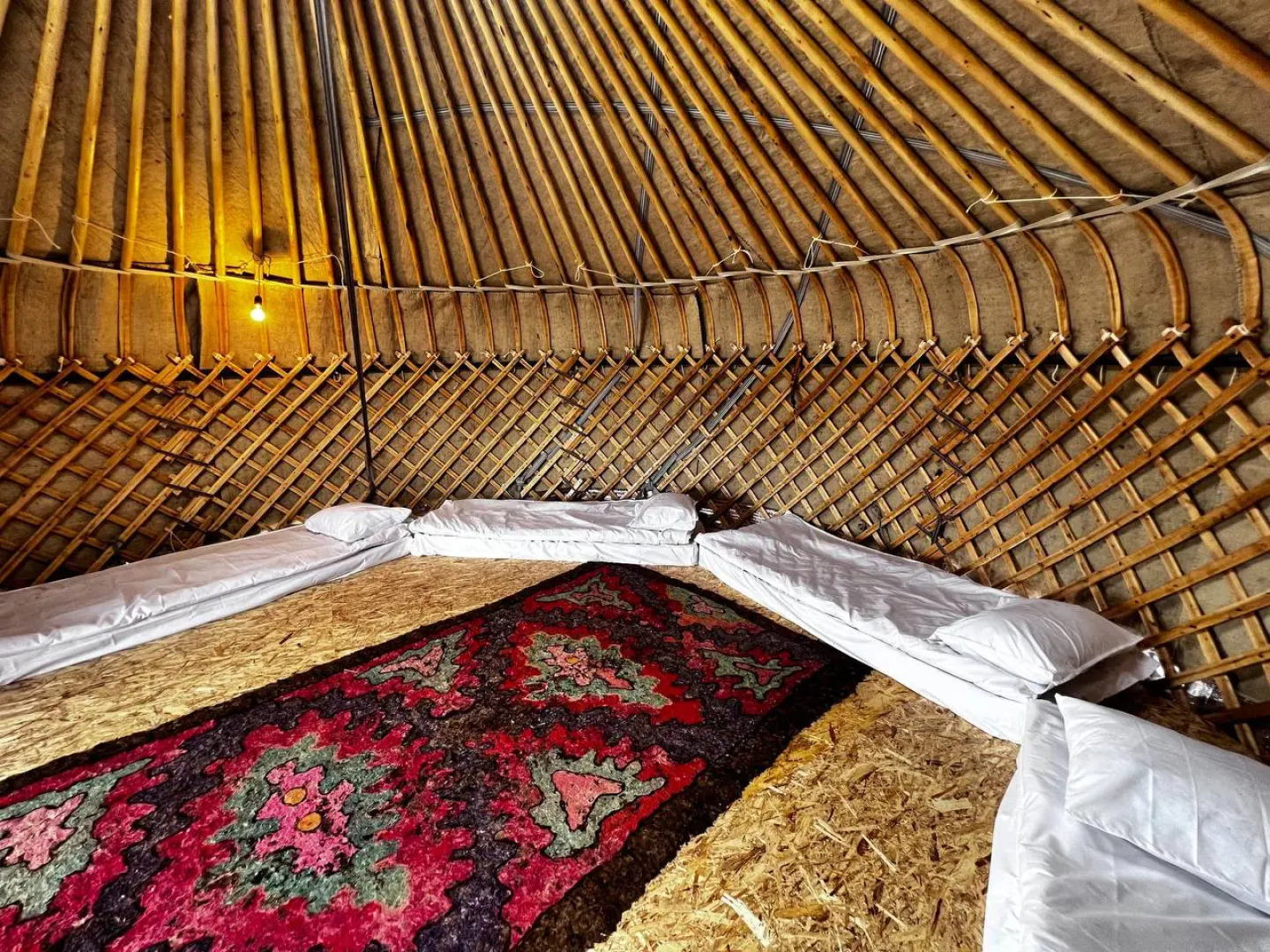 Глэмпинг Светлый Мыс