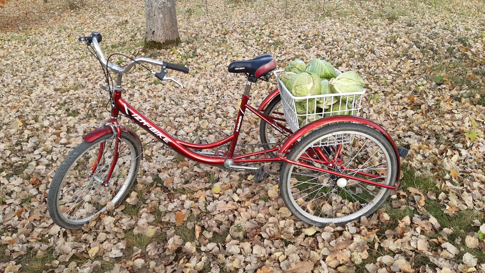 Гостевой дом в деревне Чернокуново