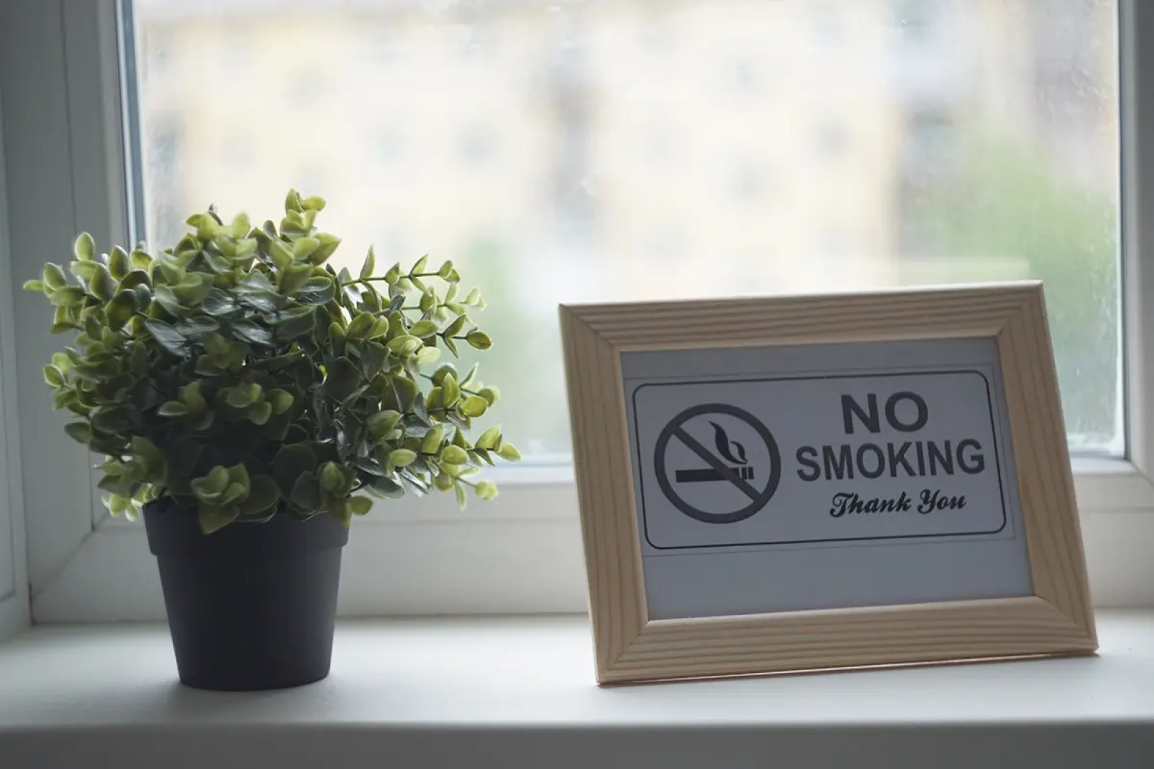 Квартира Галущака 15 (198)