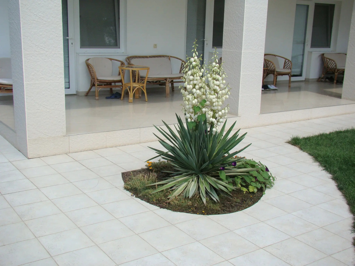 Гостиный Дом White House