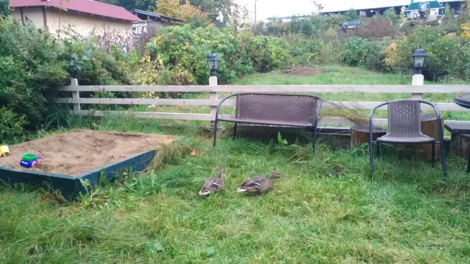 Апартаменты Таунхаус с сауной в центре у набережной