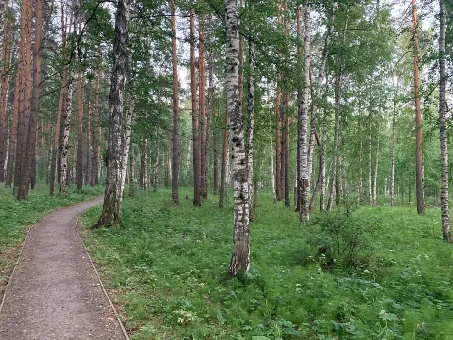 Квартира  Аstrea-студия рядом с ЭКСПО