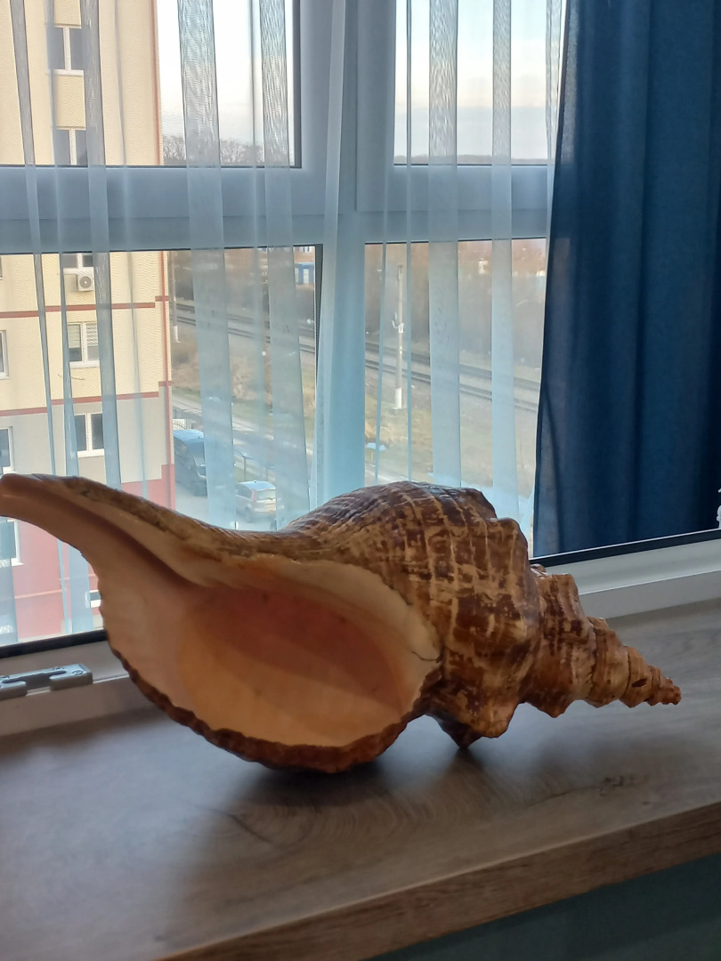 Апартаменты Морская бухта