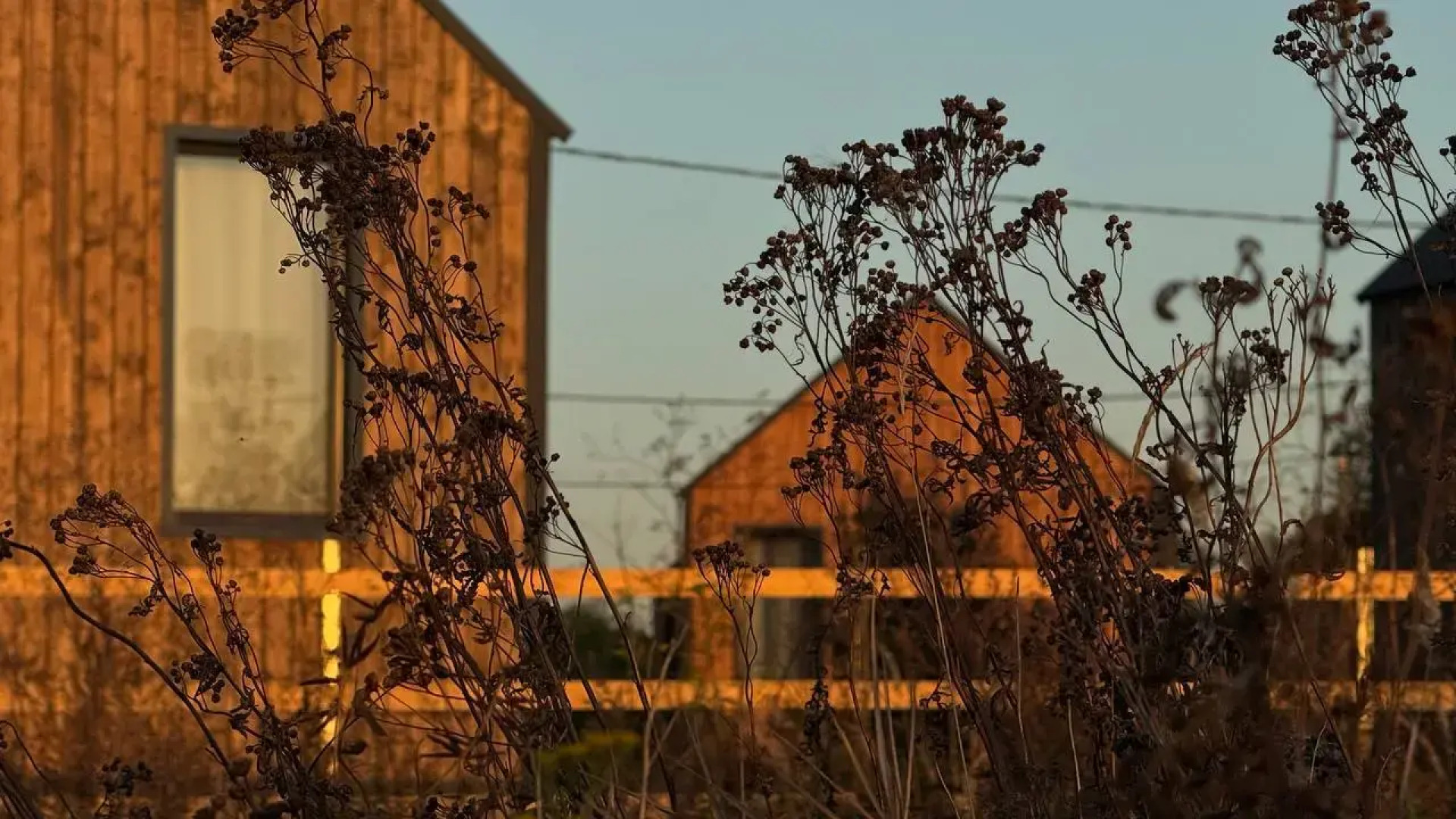 Глэмпинг Белый сад