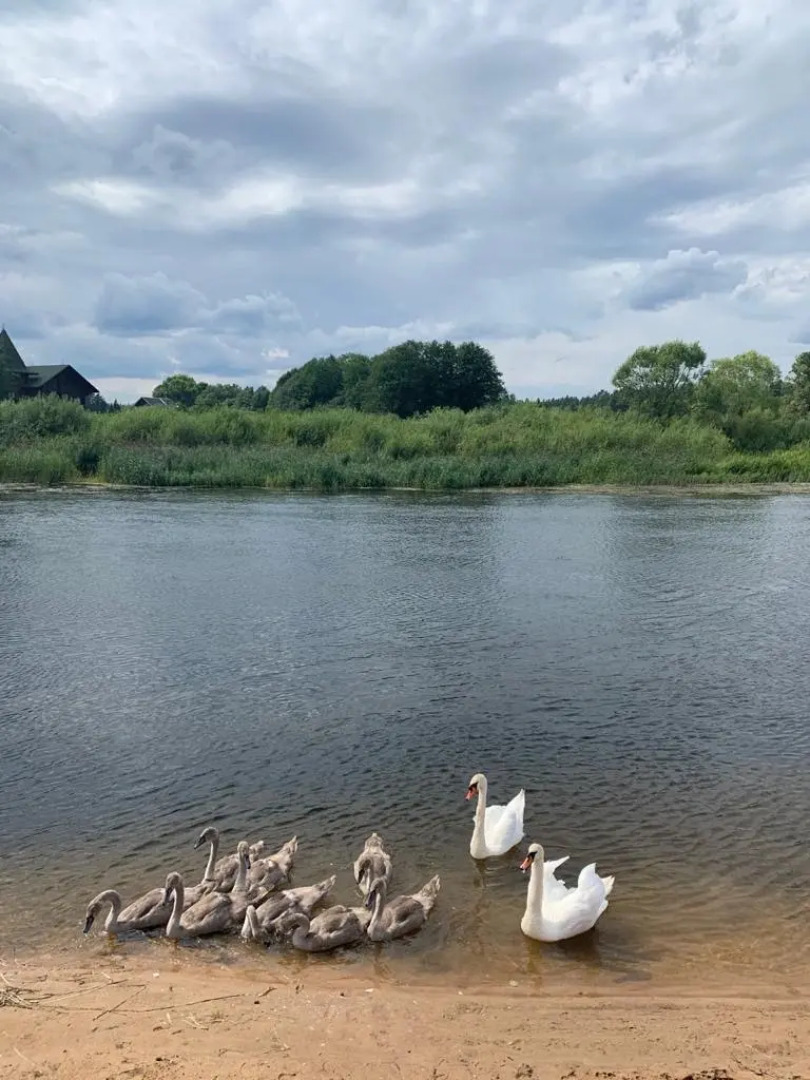 Гостевой дом LaДеревня